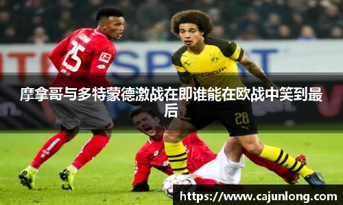emc易倍